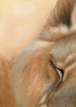 Load image into Gallery viewer, Golden Romance