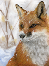 Load image into Gallery viewer, A Touch of Frost