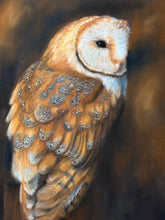 Load image into Gallery viewer, Barn Owl in Amber