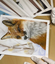 Load image into Gallery viewer, Limited Edition Print: A Touch of Frost