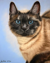 Load image into Gallery viewer, Custom Pastel Portrait (Realism)