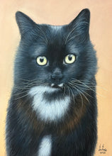 Load image into Gallery viewer, Custom Pastel Portrait (Realism)