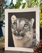 Load image into Gallery viewer, Limited Edition Print: Himalayan Royalty