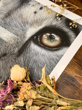 Load image into Gallery viewer, Limited Edition Print: Himalayan Royalty Close-Up