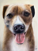 Load image into Gallery viewer, Custom Pastel Portrait (Realism)