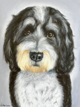 Load image into Gallery viewer, Custom Pastel Portrait (Realism)