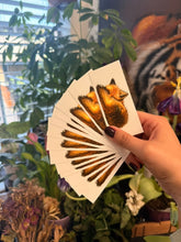 Load image into Gallery viewer, Stickers