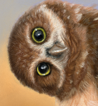 Load image into Gallery viewer, Mini Owlet