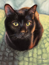 Load image into Gallery viewer, Custom Pastel Portrait (Realism)