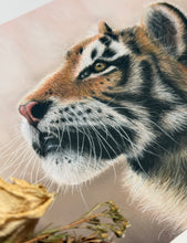 Load image into Gallery viewer, Limited Edition Print: Wonder