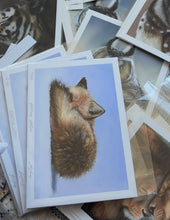 Load image into Gallery viewer, Limited Edition Print: Keeping Warm