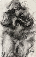 Load image into Gallery viewer, Custom Charcoal Portrait