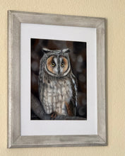 Load image into Gallery viewer, Airplane Ears