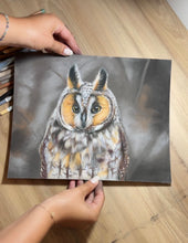 Load image into Gallery viewer, Limited Edition Print: Cozy Owl (preorder)