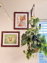 Load image into Gallery viewer, In the Garden