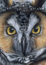 Load image into Gallery viewer, Join the Pastels and Paintings Print Club!