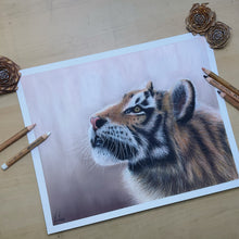 Load image into Gallery viewer, Wonder