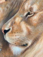 Load image into Gallery viewer, Golden Romance
