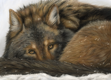 Load image into Gallery viewer, Keeping Warm II
