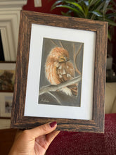 Load image into Gallery viewer, Tucked
