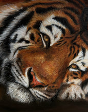 Load image into Gallery viewer, Tiger painting realistic realism exquisite detailed vibrant tigers orange oil painting
