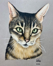 Load image into Gallery viewer, Custom Pastel Portrait (Realism)
