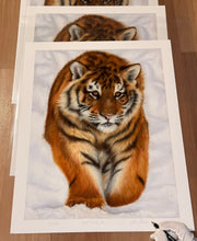 Load image into Gallery viewer, Limited Edition Print: Cat-Walk
