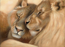 Load image into Gallery viewer, Golden Romance
