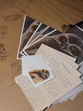 Load image into Gallery viewer, Join the Pastels Print Club!
