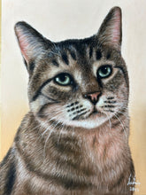 Load image into Gallery viewer, Custom Pastel Portrait (Realism)
