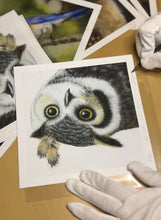 Load image into Gallery viewer, Limited Edition Print: William the Owl
