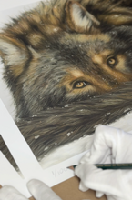 Load image into Gallery viewer, Limited Edition Print: Keeping Warm II
