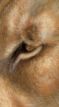 Load image into Gallery viewer, Golden Romance
