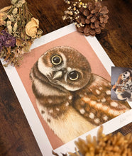 Load image into Gallery viewer, Limited Edition Print: Owlet
