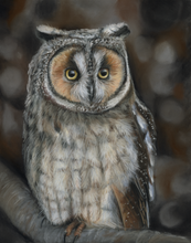 Load image into Gallery viewer, Airplane Ears
