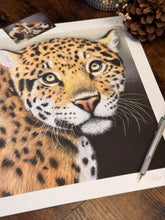 Load image into Gallery viewer, Limited Edition Print: Longing
