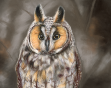Load image into Gallery viewer, Forest Keeper
