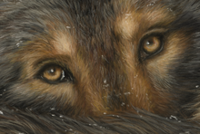 Load image into Gallery viewer, Limited Edition Print: Keeping Warm II (Pre-Order)
