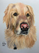 Load image into Gallery viewer, Custom Pastel Portrait (Realism)
