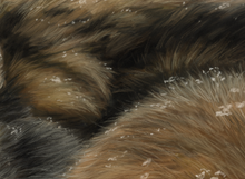 Load image into Gallery viewer, Keeping Warm II
