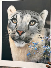 Load image into Gallery viewer, Limited Edition Print: Himalayan Royalty
