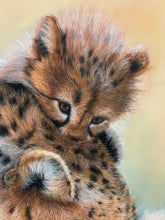 Load image into Gallery viewer, Limited Edition Print: Sweet Springtime
