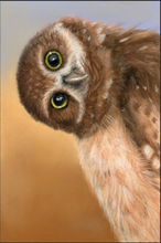 Load image into Gallery viewer, Mini Owlet
