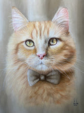 Load image into Gallery viewer, Custom Pastel Portrait (Realism)
