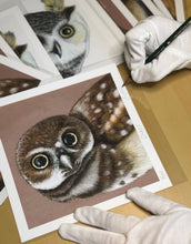Load image into Gallery viewer, Limited Edition Print: Owlet
