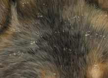 Load image into Gallery viewer, Keeping Warm II
