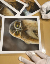 Load image into Gallery viewer, Limited Edition Print: Burrowing Owl
