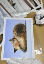 Load image into Gallery viewer, Limited Edition Print: Keeping Warm
