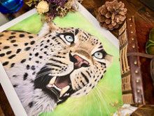 Load image into Gallery viewer, Limited Edition Print: Awestruck
