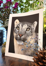 Load image into Gallery viewer, Limited Edition Print: Himalayan Royalty
